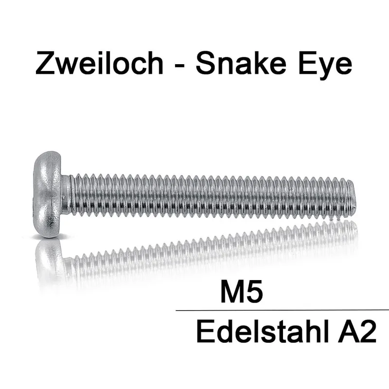 Abverkauf Sicherheitsschrauben Zweiloch - M5x30 - Linsenkopf - 2-Loch - A2 - 100 Stück