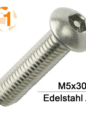 Sicherheitsschrauben Pin-Hexagon - M5x30 - Halbrundkopf - Pin-Hex - A2 - 100 Stück Direktkauf