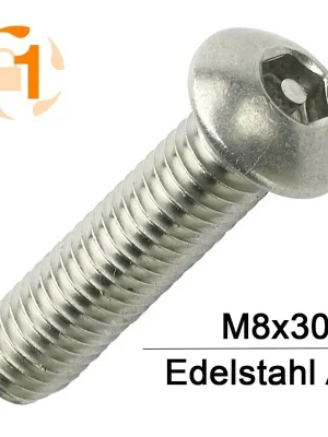 Bestseller Sicherheitsschrauben Pin-Hexagon - M8x30 - Halbrundkopf - Pin-Hex - A2 - 100 Stück