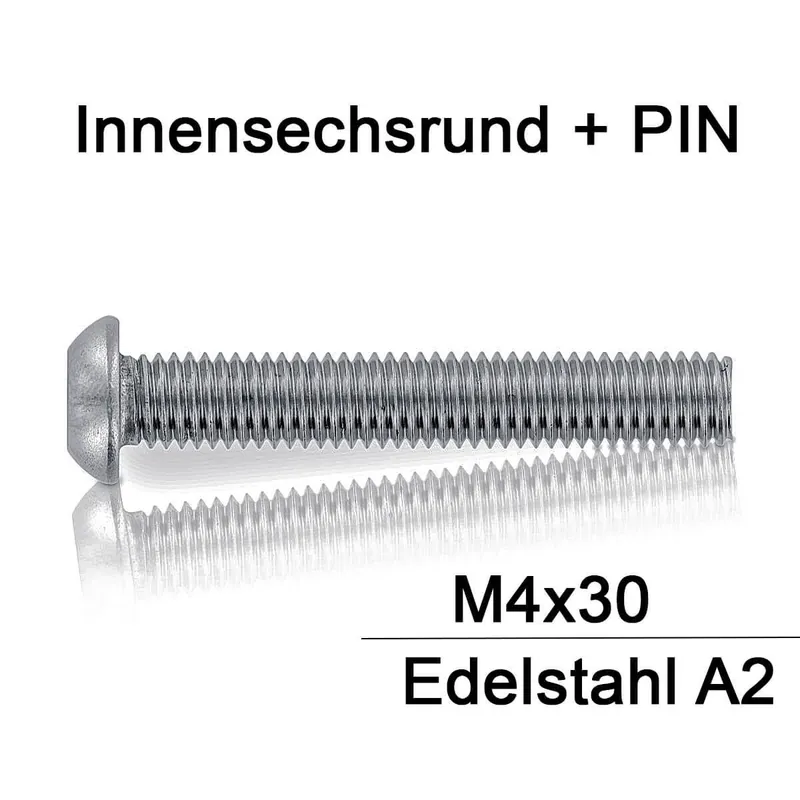 Angebot Sicherheitsschrauben Resis Torx - M4x30- Flachrundkopf - Pin-Torx - A2 - 100 Stück