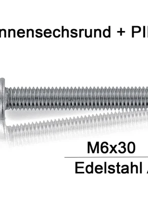 Top-Preis Sicherheitsschrauben Resis Torx - M6x30 - Flachrundkopf - Pin-Torx - A2 - 100 Stück