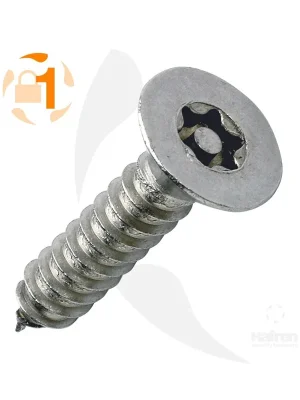 Abverkauf Blechschraube Resis - TX SK A2 - 5,5x63 - 100 Stück