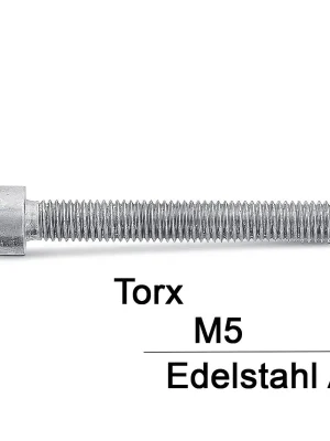 Abverkauf Zylinderschrauben ISO 14579 - M5x35 - Zylinderkopf - Torx - A2 - 200 Stück