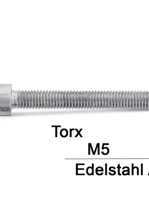 Zylinderschrauben ISO 14579 - M5x100 - Zylinderkopf - Torx - A2 - 100 Stück Echt