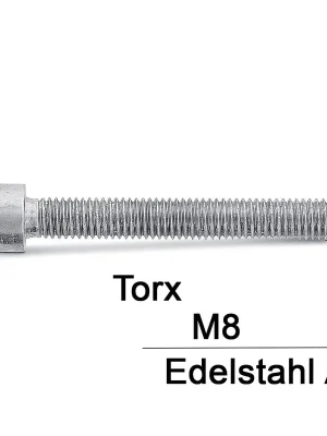 Zylinderschrauben ISO 14579 - M8x16 - Zylinderkopf - Torx - A2 - 200 Stück Sonderaktion