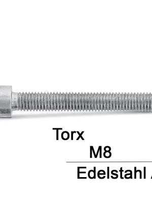 Neu Zylinderschrauben ISO 14579 - M8x35 - Zylinderkopf - Torx - A2 - 100 Stück