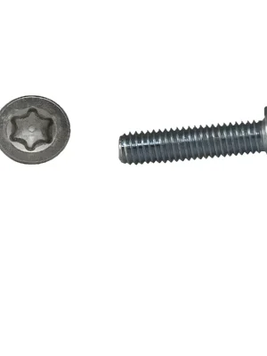 Zylinderschrauben ISO 14580 - M4x35 - Zylinderkopf - niedriger Kopf - Torx - A2 - 500 Stück Meistverkauft