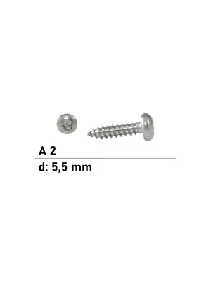 Billig ISO 14585 A2 C 5,5X80 TX25 Flachkopf-Blechschrauben mit Innensechsrund - 200 Stück