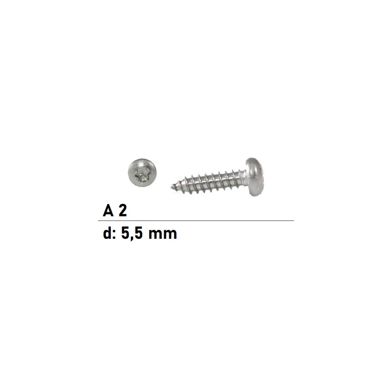 Billig ISO 14585 A2 C 5,5X80 TX25 Flachkopf-Blechschrauben mit Innensechsrund - 200 Stück