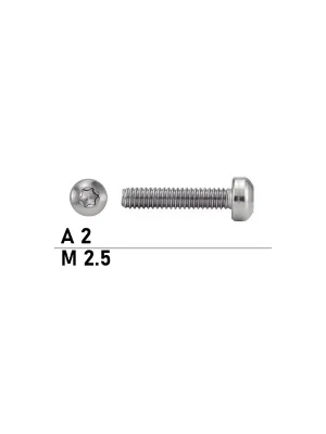 Begrenztes Angebot Flachkopfschraube - ISO14583 - M2,5x28 - TX - Edelstahl A2 - 500 Stück
