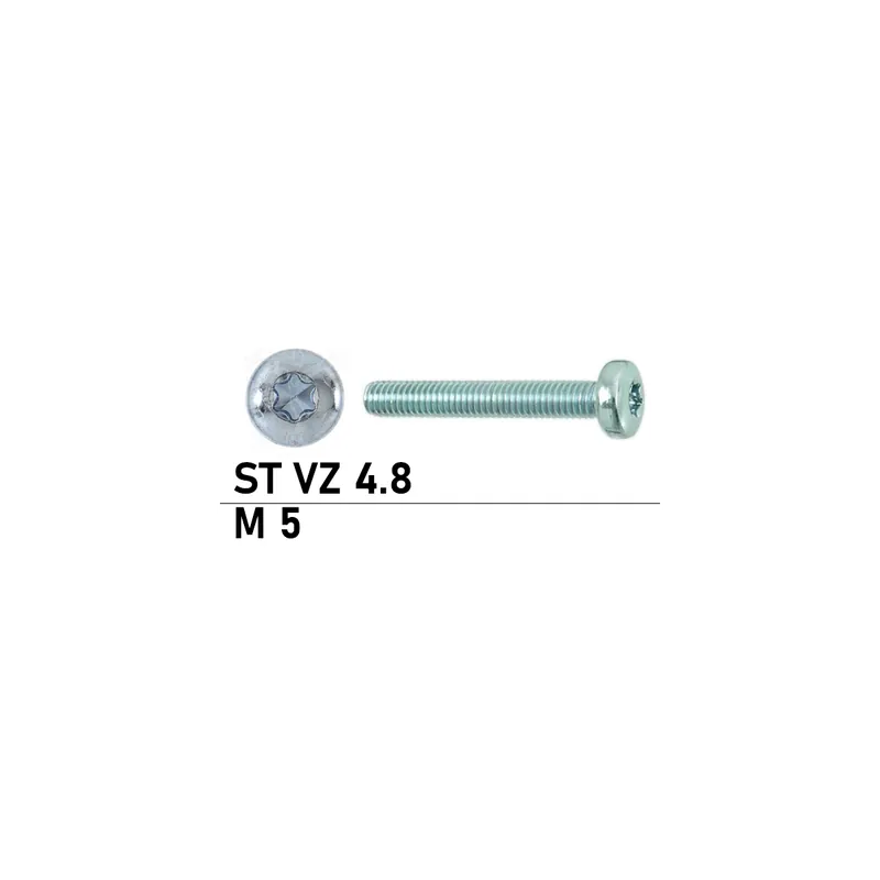 ISO 14583 - Linsenkopfschraube - M5x30 - TX - verzinkt 4.8 - 1000 Stück Knallerangebot