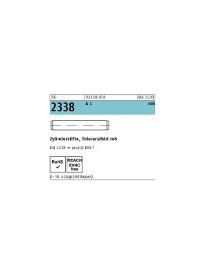 Abverkauf ISO 2338 - Zylinderstift A1 / Abmessung 6 x 45 // 10 Stück