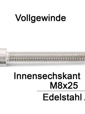 Zylinderschrauben ISO 4762 (=DIN 912) - M8x25 - Innensechskant - Vollgewinde - A2 - 100 Stück Letzte Chance