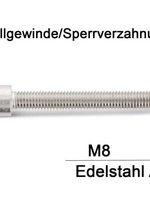 Zylinderschrauben ISO 4762 (=DIN 912) - M8x22 - Sperrverzahnung - ISK - Vollgewinde - A2 - 200 Stück Aktuell