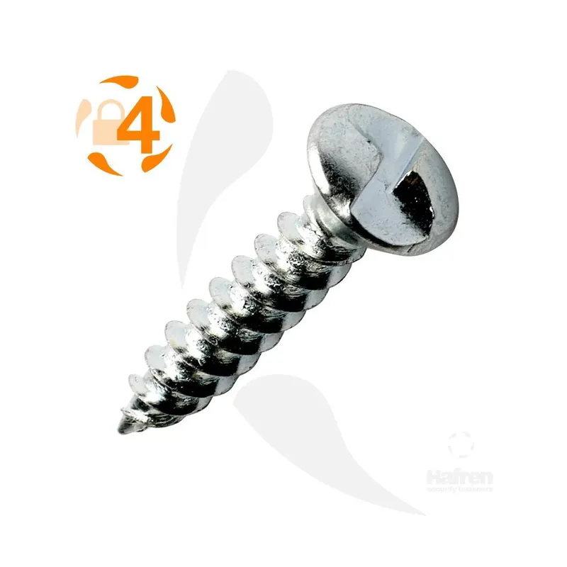 Diebstahlhemmende Blechschraube - 4,8 - Linsensenkkopf - EW - A2 Letzte Chance