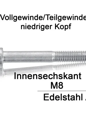 Aktuell Zylinderschrauben DIN 7984 - M8x30 - niedriger Kopf - Innensechskant - A2 - 100 Stück