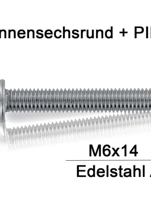 Begrenztes Angebot Sicherheitsschrauben Resis Torx - M6x14 - Flachrundkopf - Pin-Torx - A2 - 10 Stück