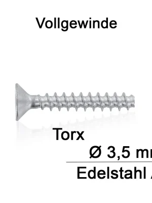Abverkauf Kunststofffurchende Senkkopfschraube - Torx - A2 - 3,5x14 - 500 Stück