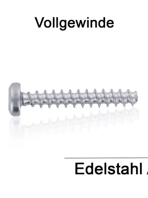 Beliebt Kunststofffurchende Rundkopfschraube - Torx - A2 - 2x8 - 500 Stück