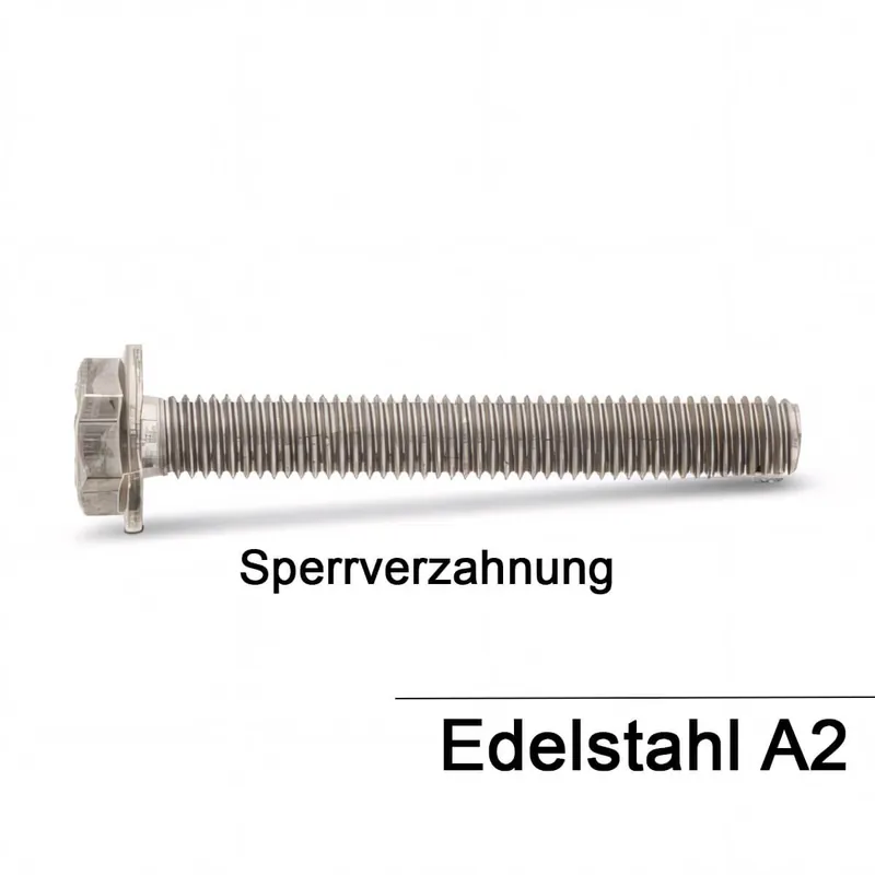 ~DIN 6921 A 2 Sperrzahn Sechskantschrauben mit Flansch Sperrverzahnung - Abmessung M 8 x 25 (200 Stück) Expressversand