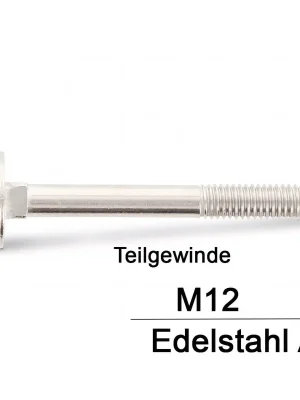 DIN 603 Schlossschrauben A2 - M12x60 - 50 Stück Saisonangebot