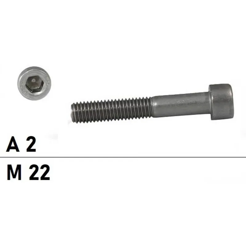 DIN 912 Zylinderschraube A2 - M22x60 - 25 Stück Neu