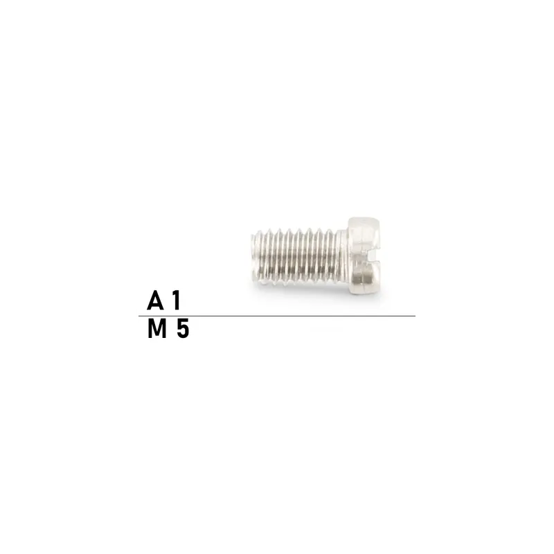 Aktuell Flachkopfschraube DIN 920 - M5x20 - kleiner Kopf - Schlitz - Edelstahl A2 - 200 Stück