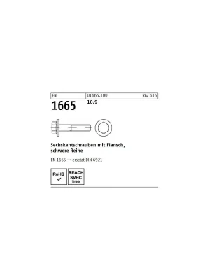 Saisonangebot EN 1665 10.9 Sechskantschrauben mit Flansch, schwere Reihe - Abmessung M 6 x 25 (500 Stück)