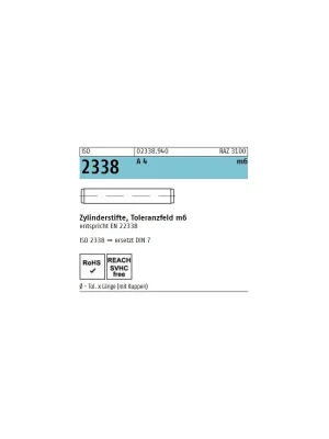 Abverkauf ISO 2338 A 4 10 m6 x 14 A 4 -- 50 Stück