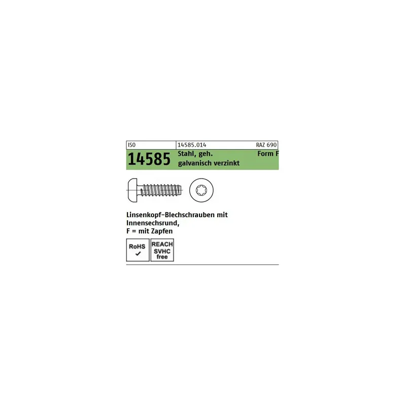 Abverkauf ISO 14585 Blechschrauben TX Form F Stahl verzinkt 2,9x6,5 1000St.