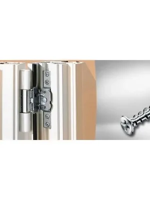 Super-Preis SPAX FEX-KS für Beschläge auf Kunststoff - Silber - PH2 4x30 100 Stk